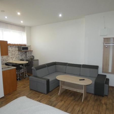 Apartament Bielsko Extérieur photo